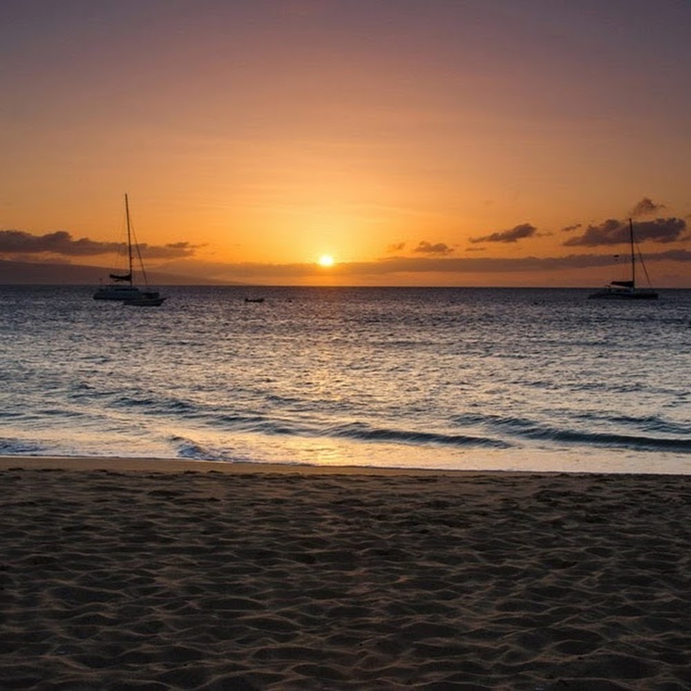 Meet your Posher, Mackenzie